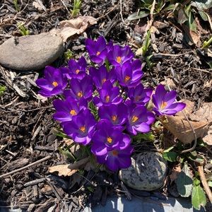 Meet your Posher, Kelley